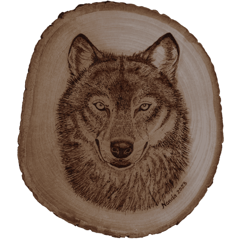Wolf Unvarnished