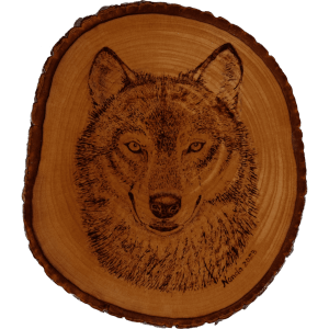 Varnished pyrography wold on maple wood