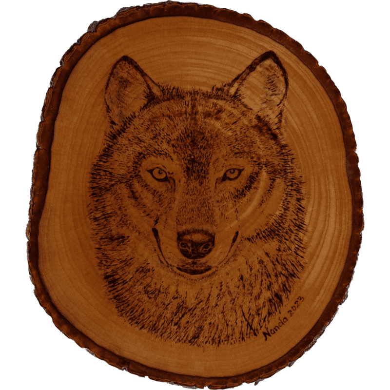 Varnished pyrography wold on maple wood
