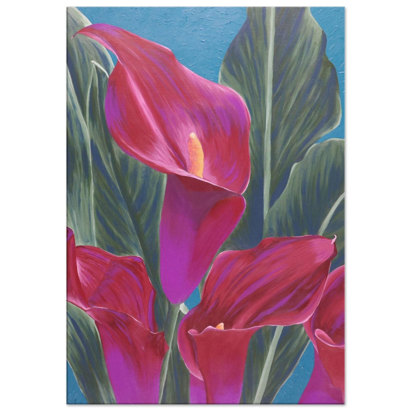 Calla Lilies canvas print on white background